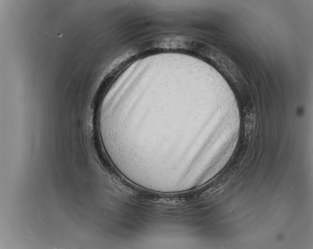 X0000094060727200711161523