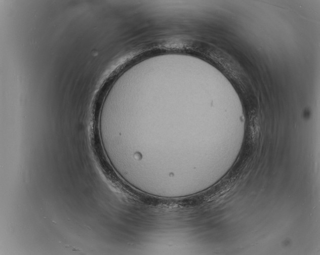 X0000094060728200711161523