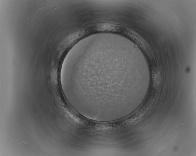 X0000094060729200711161523