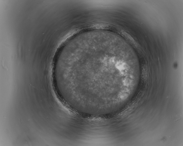 X0000094060730200711161523