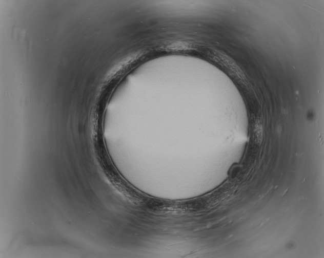 X0000094060732200711161524