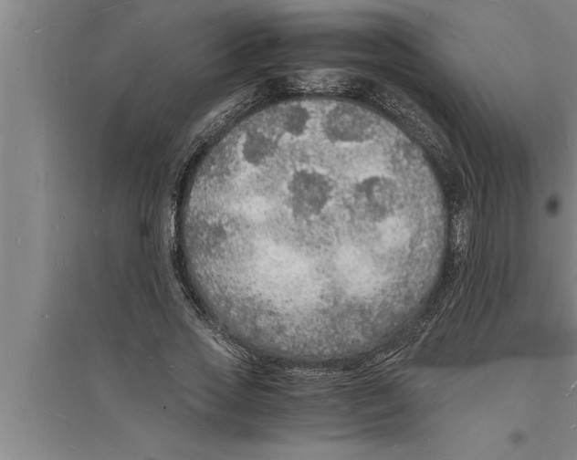 X0000094060733200711161524