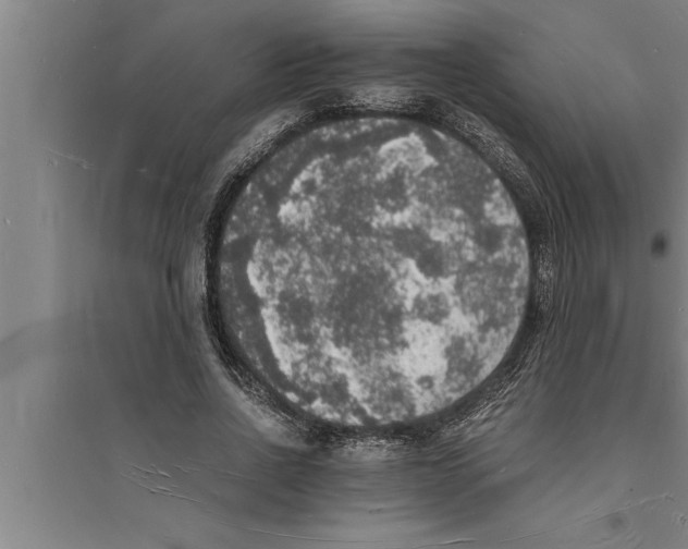 X0000094060734200711161524