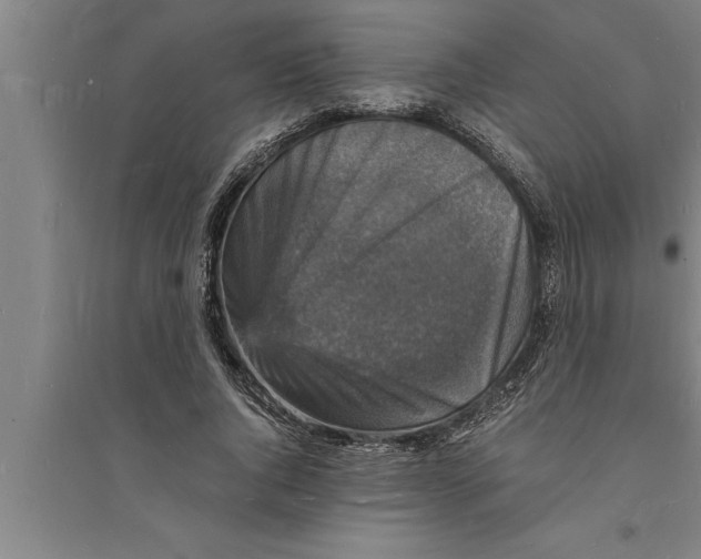 X0000094060736200711161524