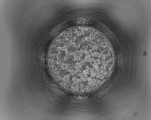 X0000094060737200711161524