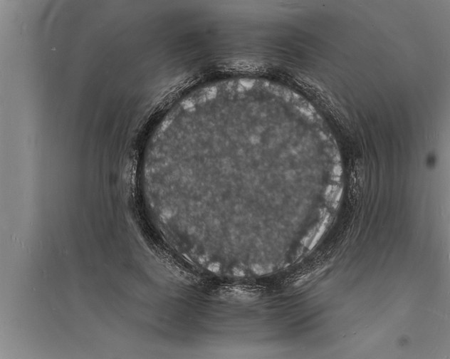 X0000094060739200711161524