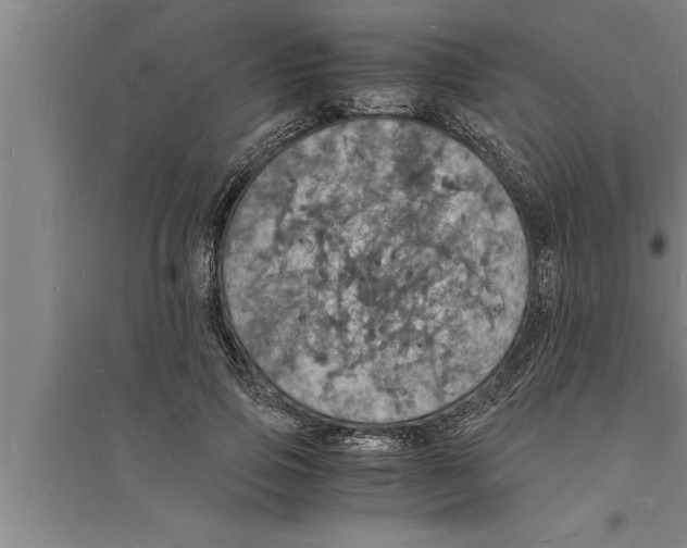 X0000094060741200711161524