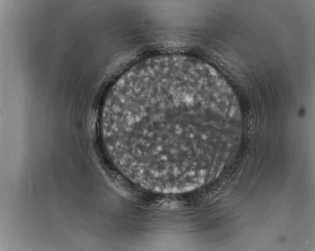 X0000094060742200711161524