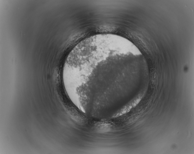 X0000094060743200711161524