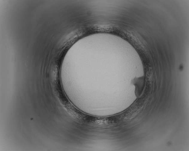 X0000094060744200711161524