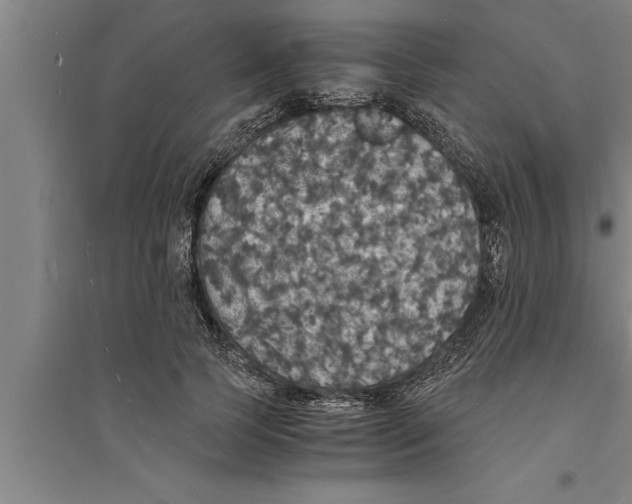 X0000094060745200711161524