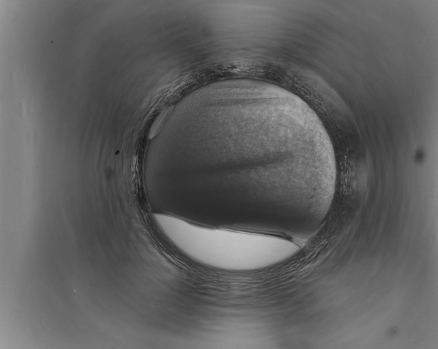 X0000094060748200711161524