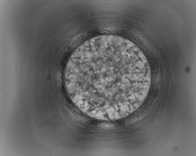 X0000094060749200711161524