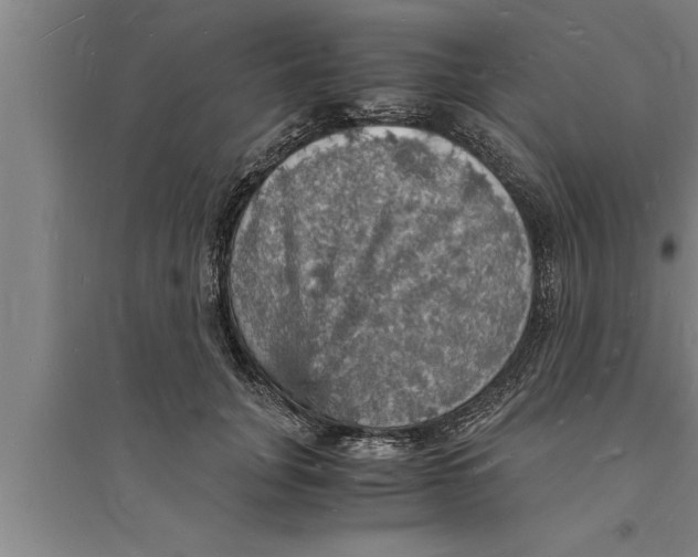 X0000094060751200711161524