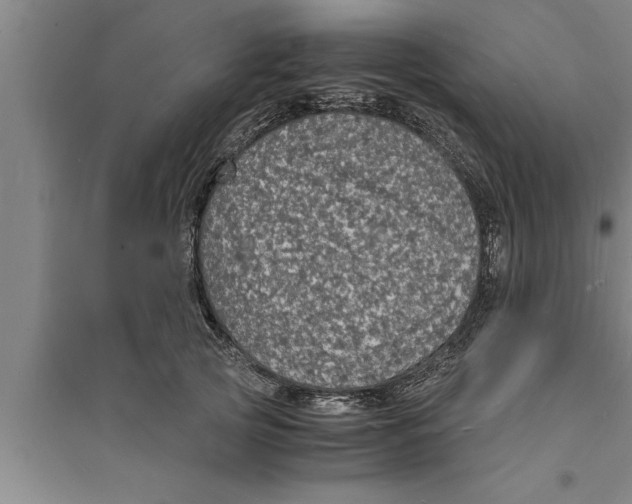 X0000094060753200711161524