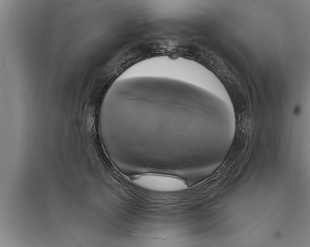 X0000094060754200711161524