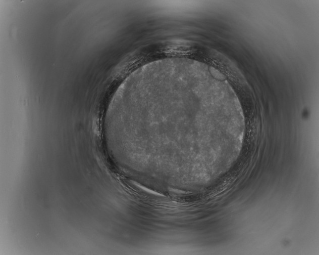 X0000094060755200711161524