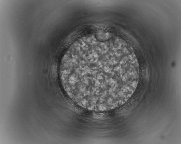 X0000094060757200711161524