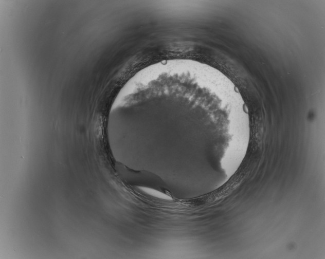 X0000094060758200711161524