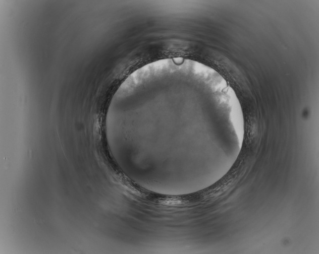 X0000094060759200711161524