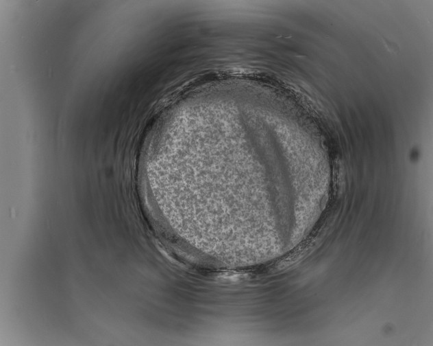 X0000094060760200711161524