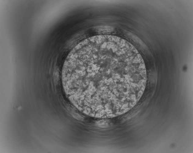 X0000094060761200711161524