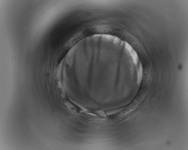 X0000094060762200711161524