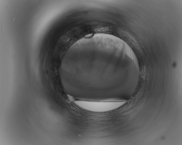 X0000094060763200711161524