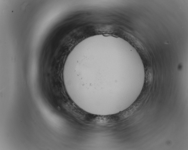 X0000094060764200711161524