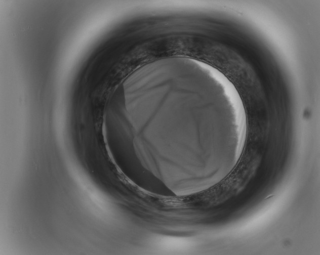 X0000094060766200711161524