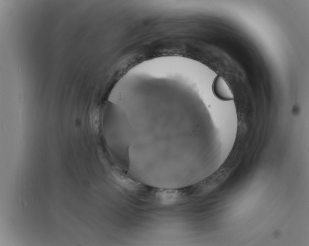 X0000094060767200711161524