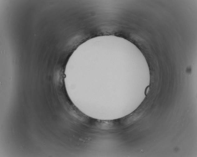 X0000094060768200711161524