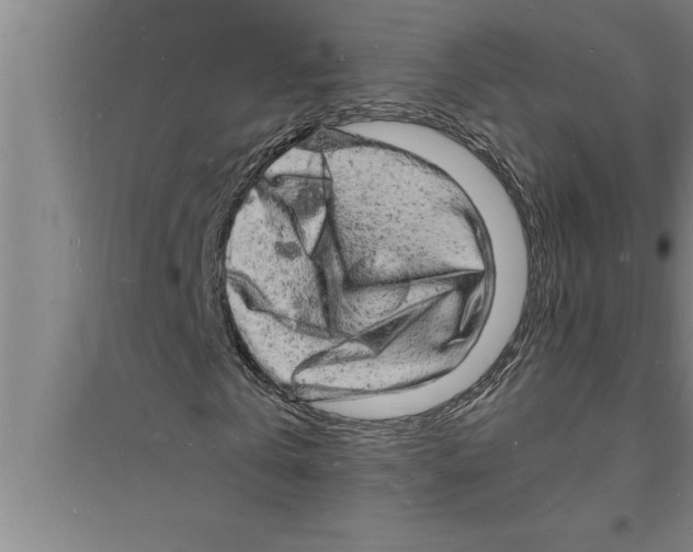 X0000094060769200711161523