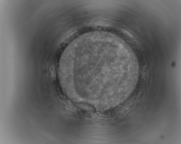 X0000094060774200711161523