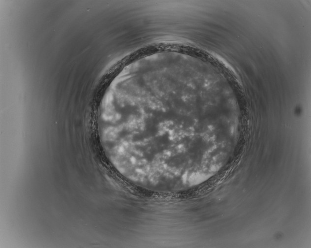 X0000094060775200711161523