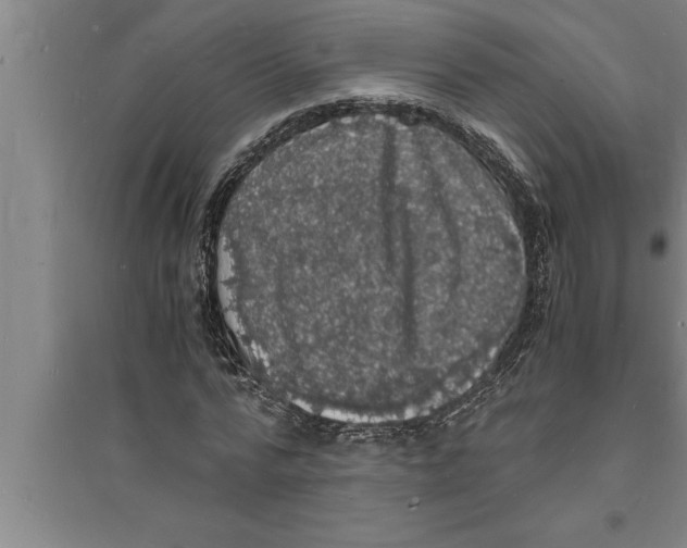 X0000094060776200711161523