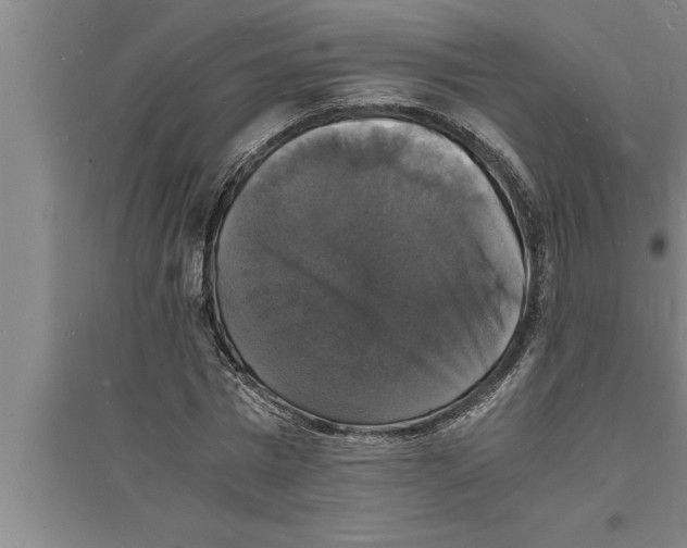 X0000094060777200711161523