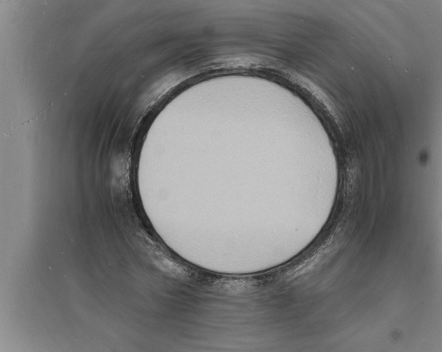 X0000094060778200711161523