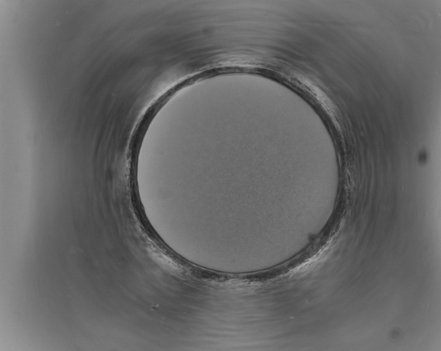 X0000094060779200711161523