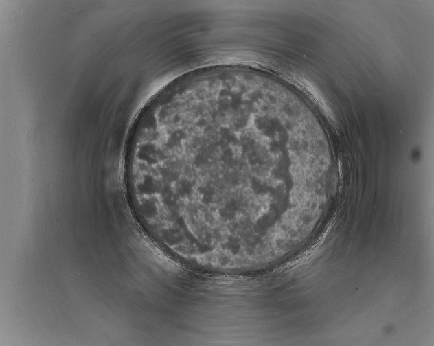 X0000094060780200711161523