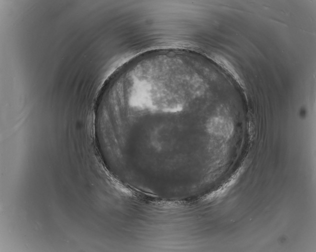 X0000094060781200711161523