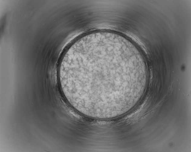 X0000094060782200711161523