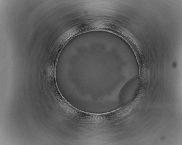 X0000094060785200711161523