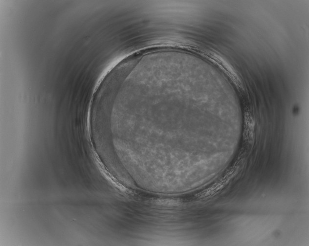 X0000094060788200711161523