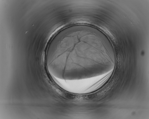 X0000094060790200711161523