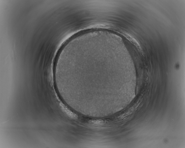 X0000094060792200711161523