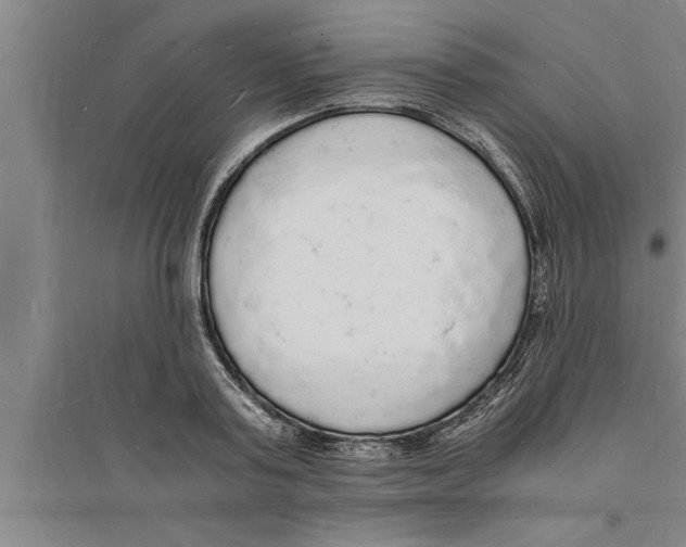 X0000094060795200711161523