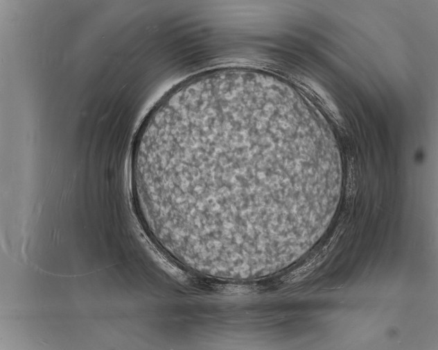 X0000094060796200711161523