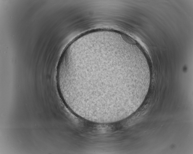 X0000094060799200711161523