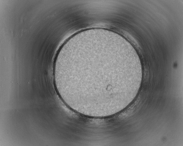 X0000094060800200711161523